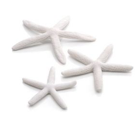 biOrb Set de 3 étoiles de mer blanches