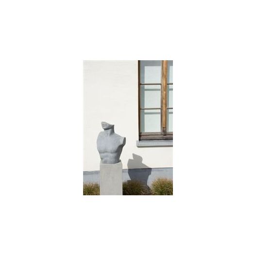 Photo 1 Deco buste homme gris