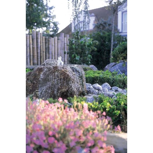 Photo Pompe fontaine Aquarius Universal 440i