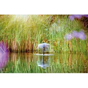 Fontaine 1 Pompe de bassin Aquarius Fountain Set 4000 E Oase