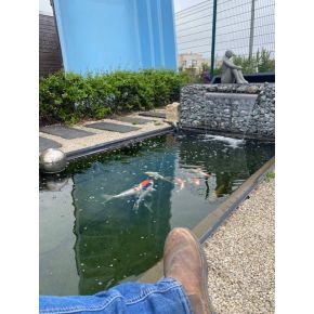 Bassin rectangulaire 305 x 155 x 80 cm 3400L