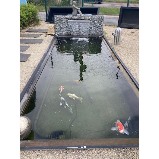 Bassin Rectangulaire 340 x 215 x 90 cm 5000L