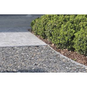 Exemple 1 PondEdge Latte 19 cm oase