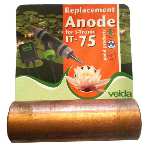 Anode de remplacement pour I Tronic 75