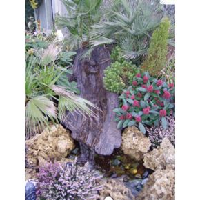 Tronc "riviére longue"