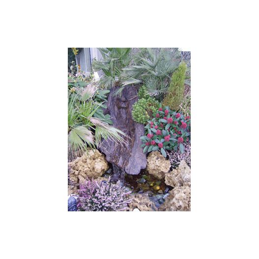 Tronc "riviére longue"