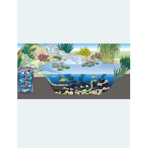 Filtre bassin Filtoclear 3000 Oase filtre sous pression