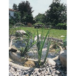 Bassin de jardin Préformé OASE Constance Sable 1300L