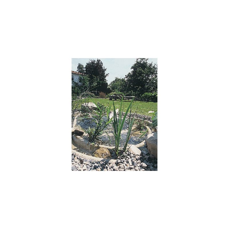 Bassin de jardin Préformé OASE Chiemsee Sable 2000L