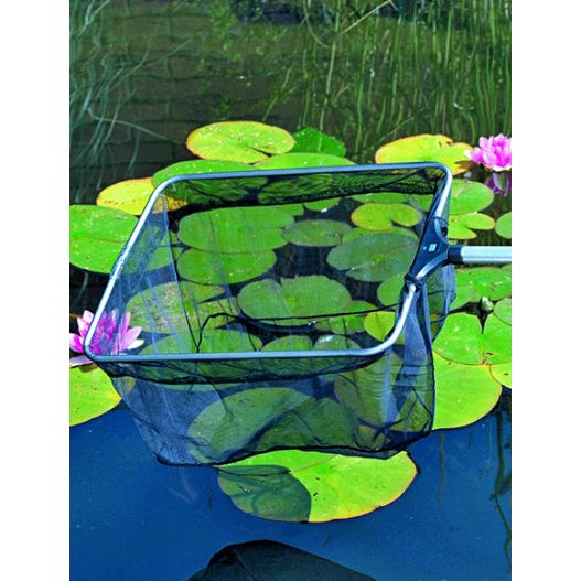 Epuisette de bassin professionnelle