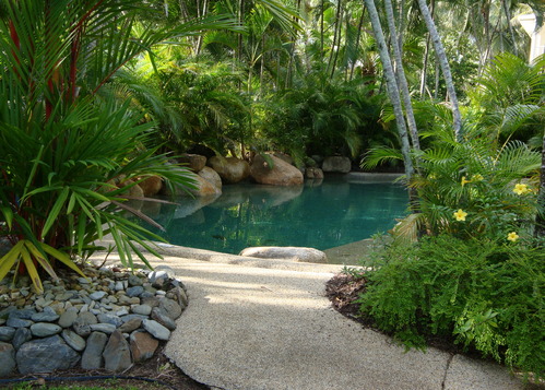 Lampe UV pour bassin : comment choisir le bon ultra-violet ?